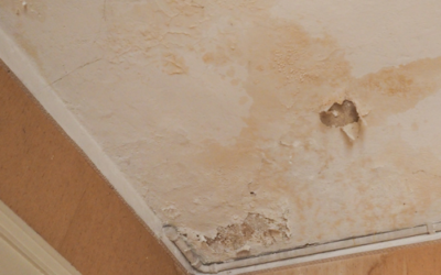 Het belang van wooneisen stellen – een voorbeeld